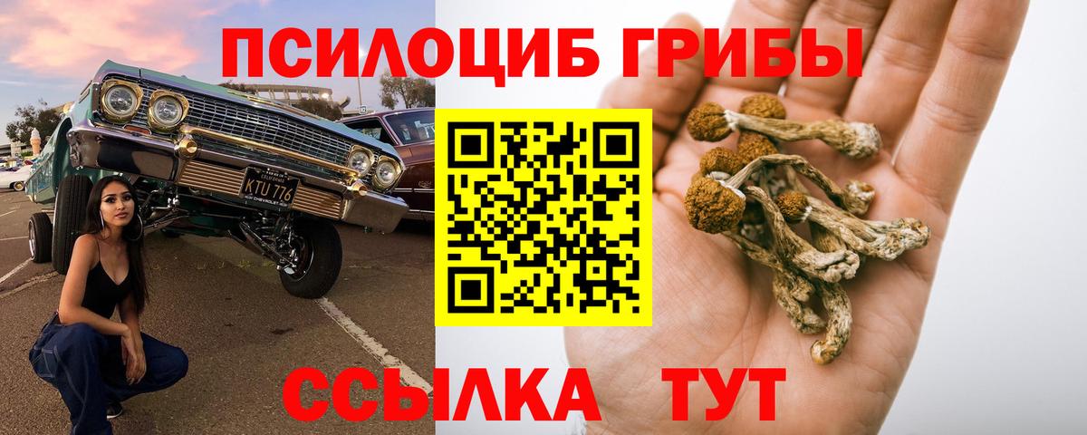 Галлюциногенные грибы мухоморы Зеленогорск