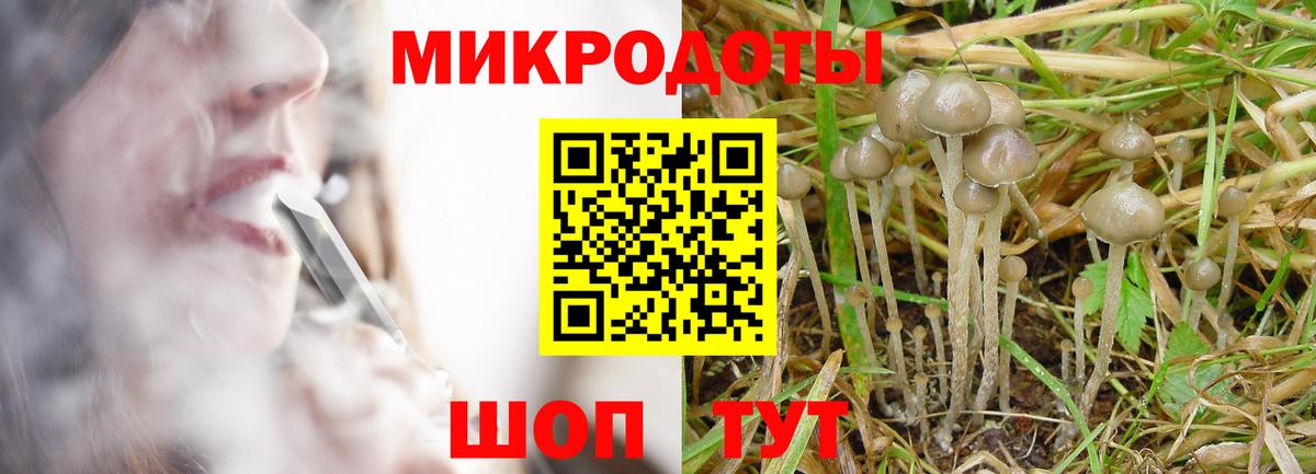 Зеленогорск  Псилоцибиновые грибы Psilocybine cubensis  Вход с VPN 